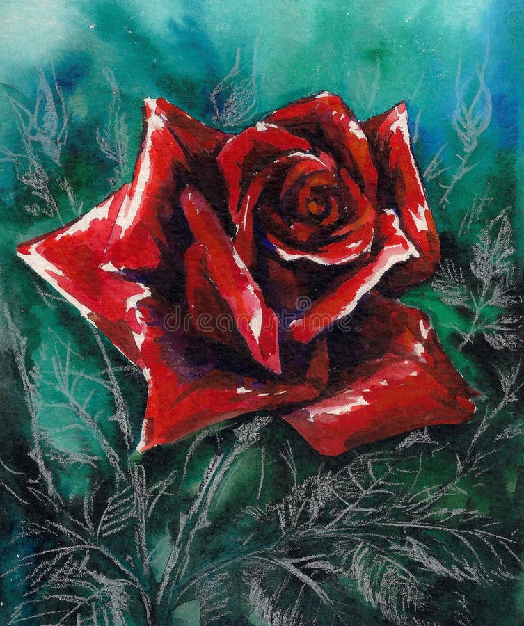 Beautiful single red rose watercolor painted. Beautiful single red rose watercolor painted.