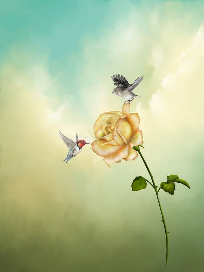 Rosa royalty illustrazione gratis