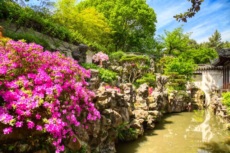 Rosa blommor och detaljer av den historiska Yuyuan trädgården under solig dag för sommar i Shanghai, Kina arkivfoto