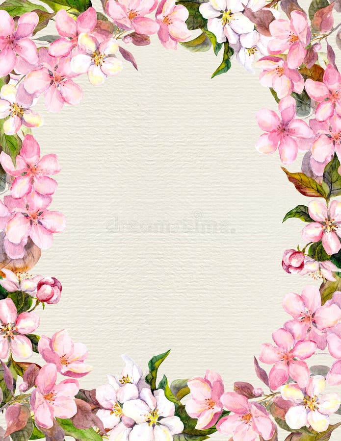 Rosa Blumen Apfel Kirschblute Blumenweinleserahmen Fur Retro Postkarte Aquarell Auf Papierhintergrund Stock Abbildung Illustration Von Blumen Fur 9065