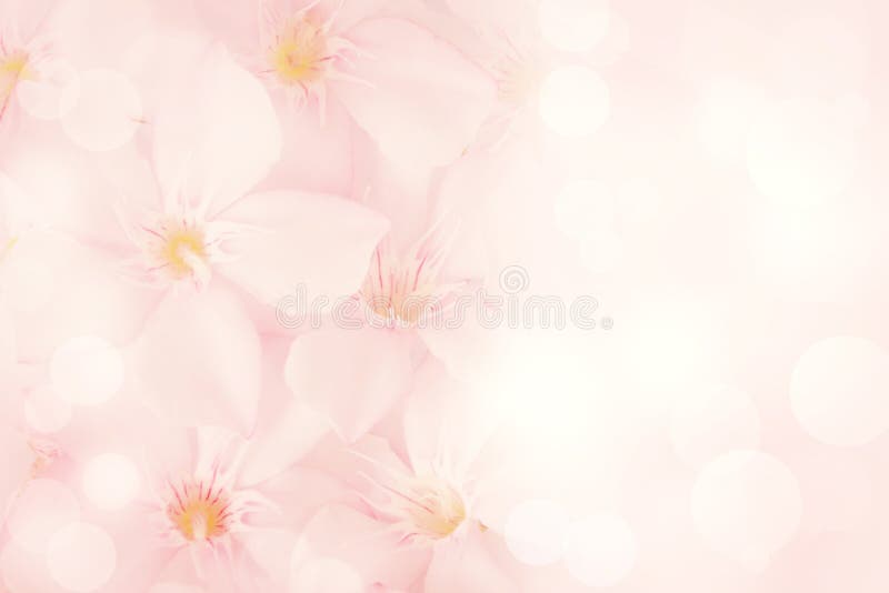 Rosa Blumen-Hintergrund