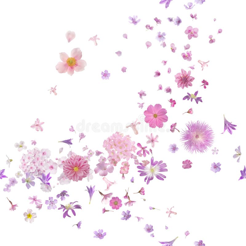 Rosa Blüten-Blumen-Knospen-Brise