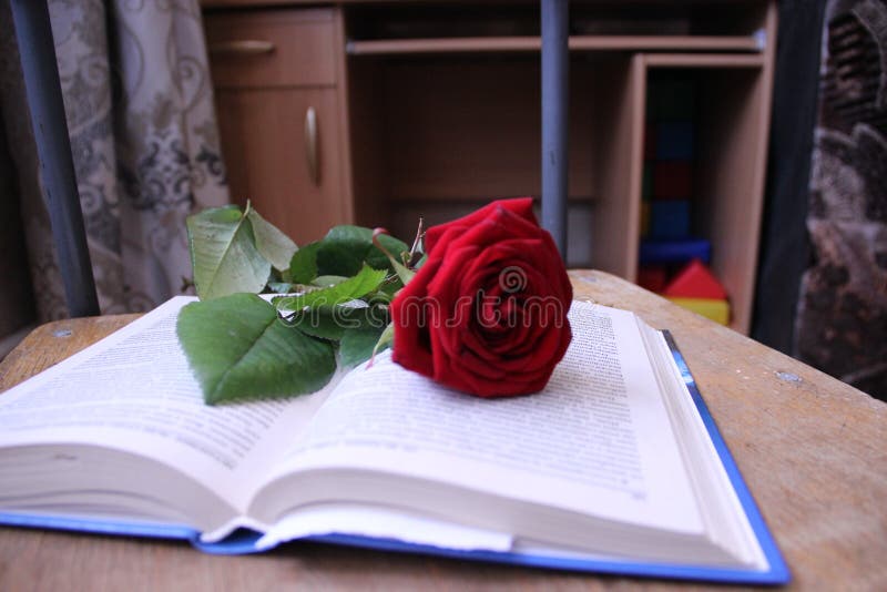 A rosa bonita do vermelho com pérola perla em um fundo bege
