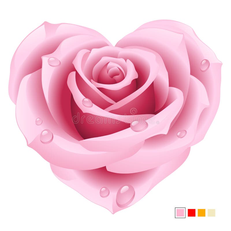 Rosa cor-de-rosa em forma de coração ilustração do vetor