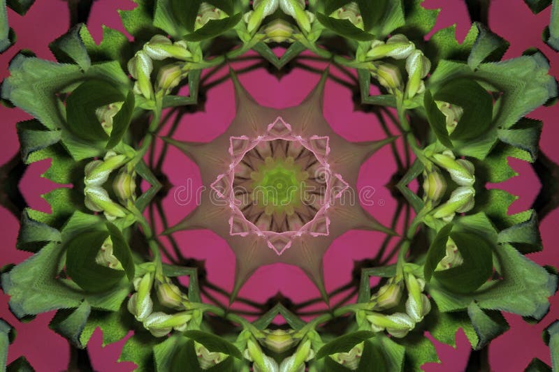 rosa del extracto con el ornamento verde (mandala, caleidoscopio) libre illustration rosa del extracto con el ornamento verde (mandala, caleidoscopio) libre illustration