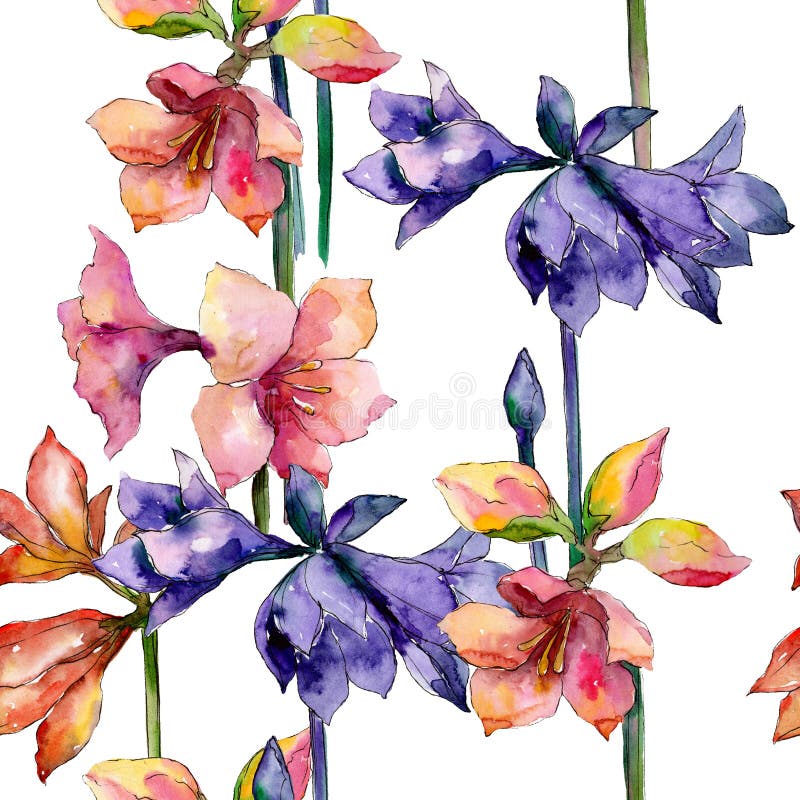 Rosa e fiore botanico floreale dell'amarillide porpora Insieme dell'illustrazione del fondo dell'acquerello Modello senza cucitur royalty illustrazione gratis Rosa e fiore botanico floreale dell'amarillide porpora Insieme dell'illustrazione del fondo dell'acquerello Modello senza cucitur royalty illustrazione gratis