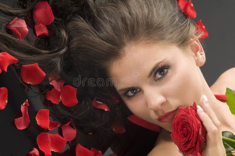 Rosa e pétalas imagem de stock royalty free Rosa e pétalas imagem de stock royalty free