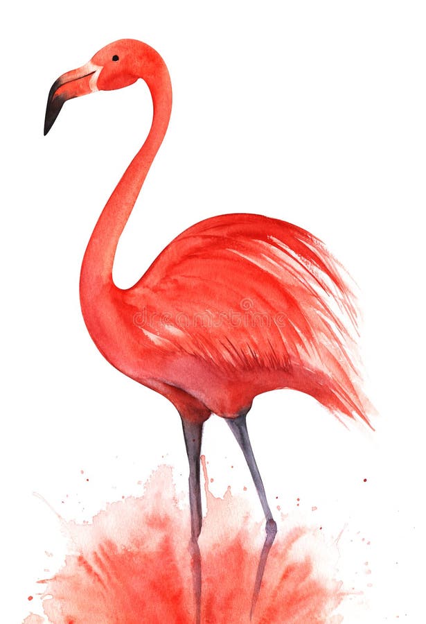Rosa Flamingo Auf den Lilac-Beinen in einer rosa Sprühwolke stehen Schwarzer Blickpunkt Handgezeichnete Wasserfarbe