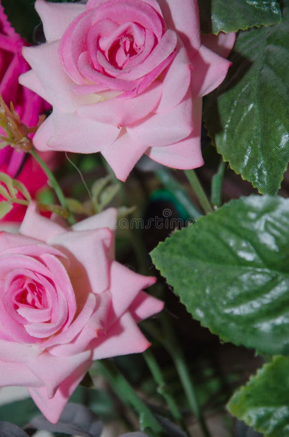 Rosa Rosa. Flor Artificial De Alta Qualidade. Rosa Vermelha Artificial Foto  de Stock - Imagem de floral, fresco: 211501638