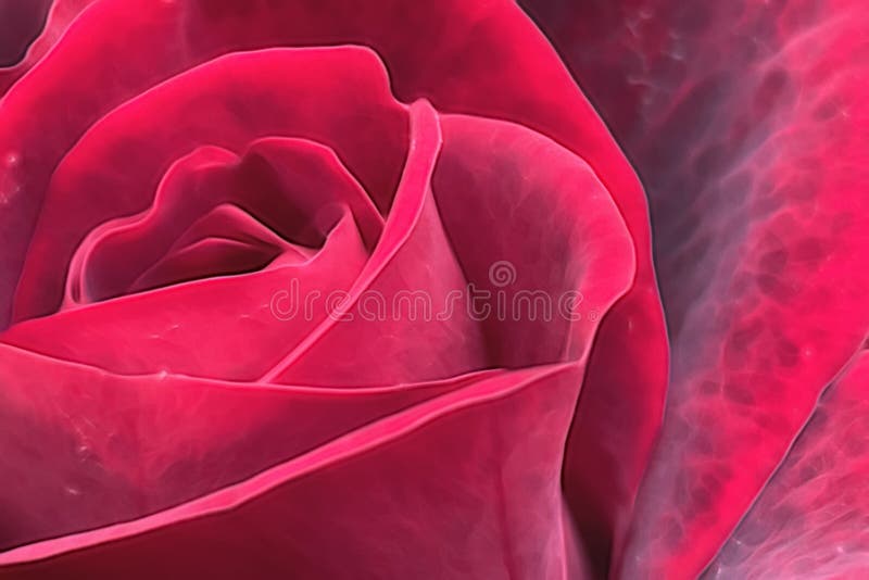 Rosa flor na natureza imagens de stock royalty free