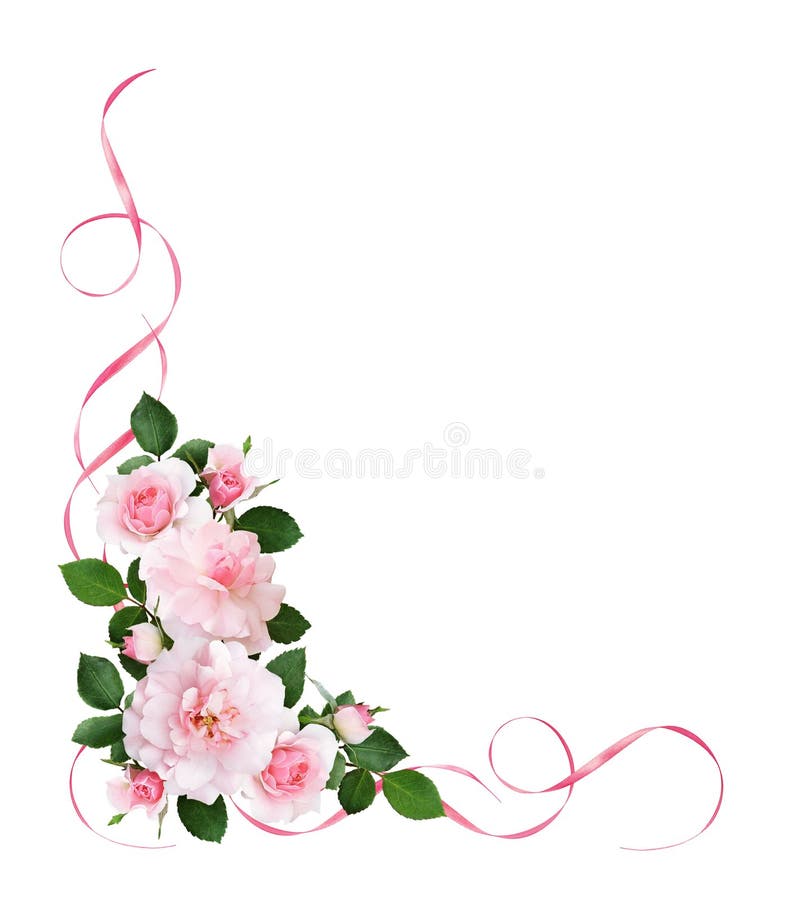 Rosa färger steg blommor och satängband i en blom- hörnarrangeme vektor illustrationer Rosa färger steg blommor och satängband i en blom- hörnarrangeme vektor illustrationer