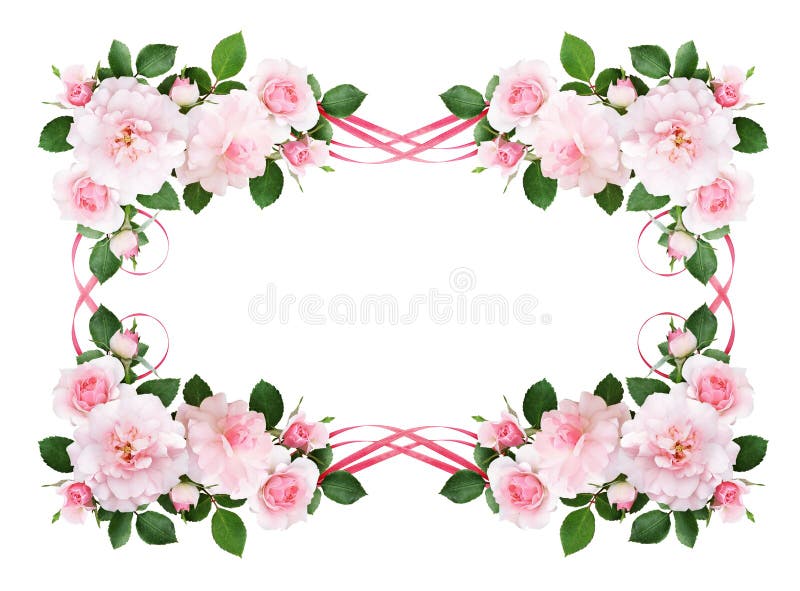 Rosa färger steg blommor och siden- vinkade band i en blom- ram stock illustrationer Rosa färger steg blommor och siden- vinkade band i en blom- ram stock illustrationer