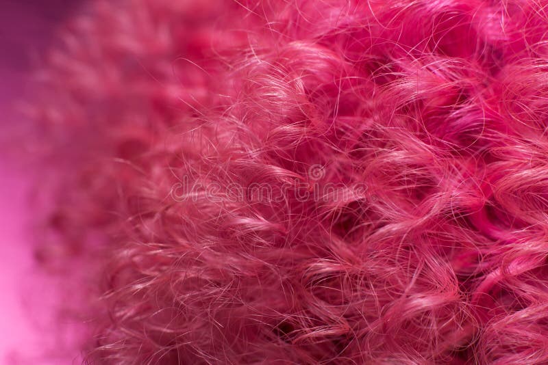 Rosa h?r, st?nger sig upp lockig frisyr f?r stilfull afro spiral arkivfoto Rosa h?r, st?nger sig upp lockig frisyr f?r stilfull afro spiral arkivfoto