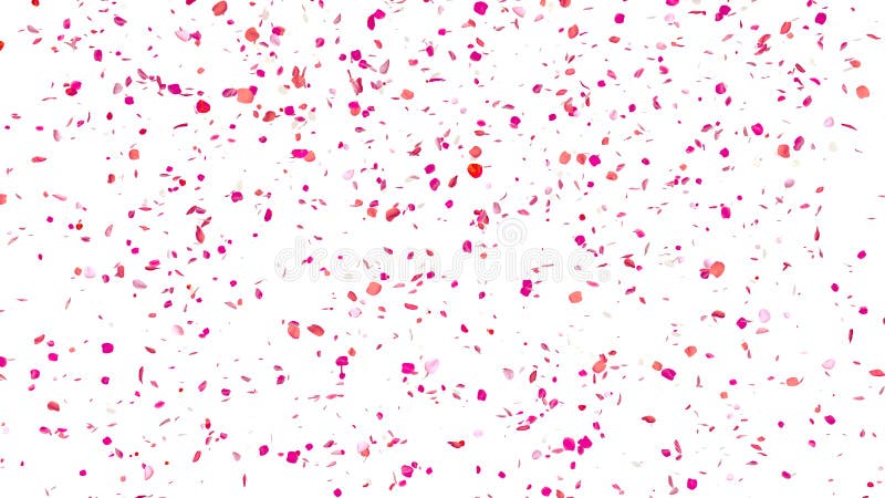 Rosa kronblad vektor illustrationer Rosa kronblad vektor illustrationer
