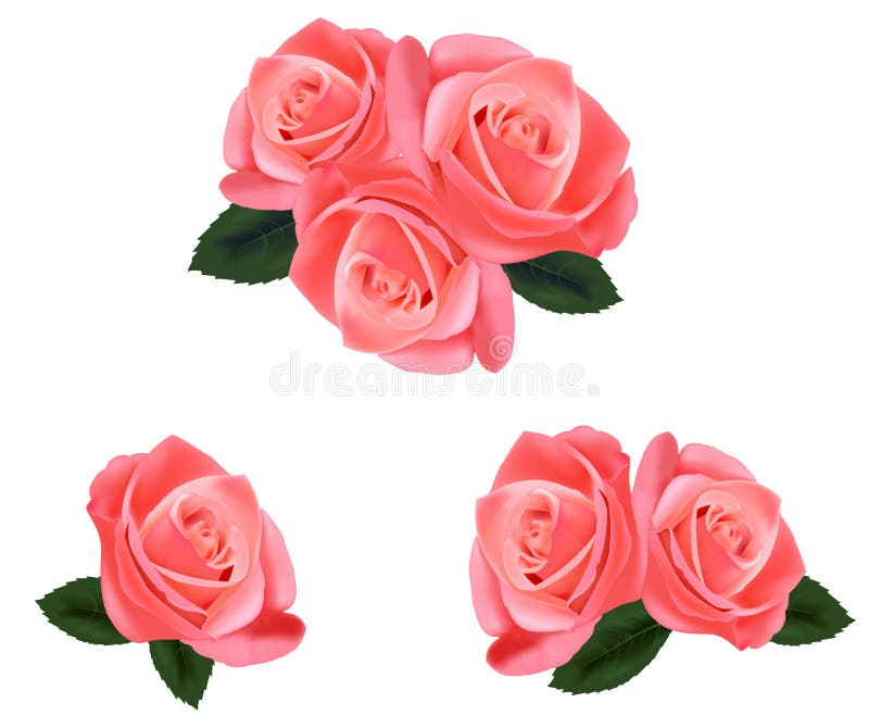 Rosa ro för härliga leaves vektor illustrationer