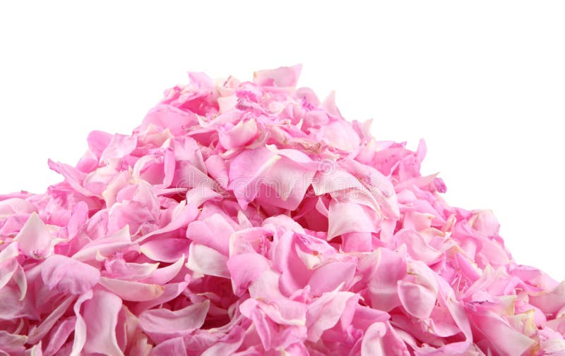 Rosa Stapel der rosafarbenen Blumenblätter stockfotografie