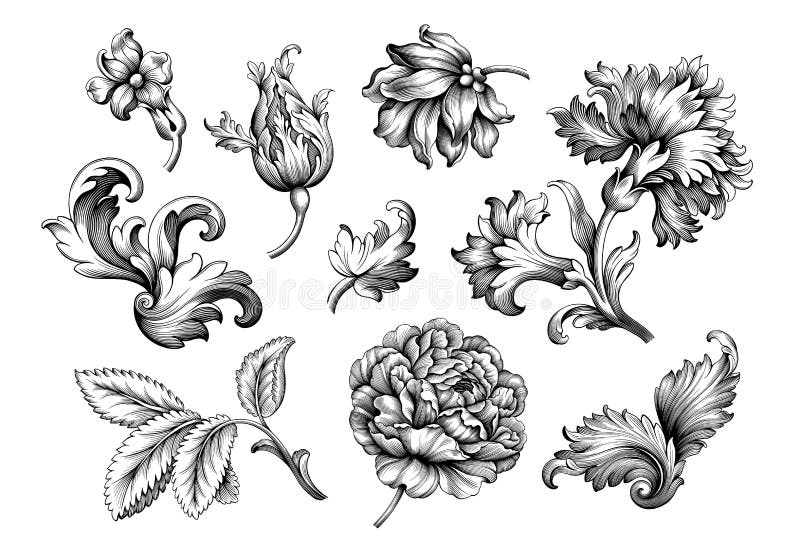Rosa uppsättning för vektor för filigran för tatuering för modell för blom- prydnad för gräns för ram för pionblommatappning baro stock illustrationer