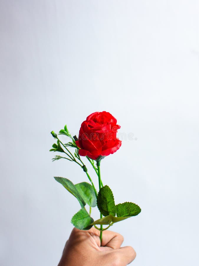 Flores Rosa Falsas, De Plástico E Tecido Foto de Stock - Imagem de  centrepiece, detalhes: 225946200