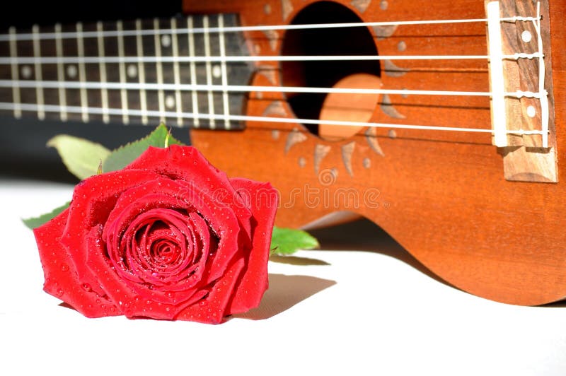 Rosa y ukelele del rojo foto de archivo Rosa y ukelele del rojo foto de archivo