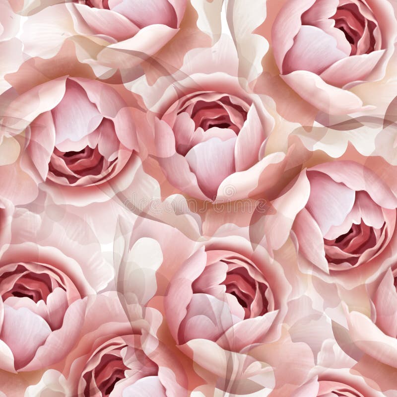 Rosa zarte Rosenblumen. nahtlose Blumenmuster. lizenzfreies stockbild