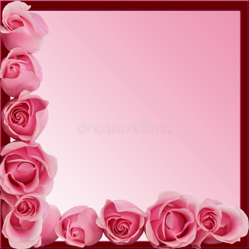 Rosafarbene Rose-Rand-Feld-Seiten-Unterseite lizenzfreies stockbild Rosafarbene Rose-Rand-Feld-Seiten-Unterseite lizenzfreies stockbild