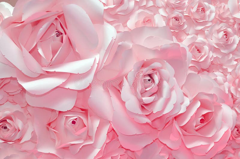 Rosafarbener Hintergrund des schönen Rosas lizenzfreie stockfotos