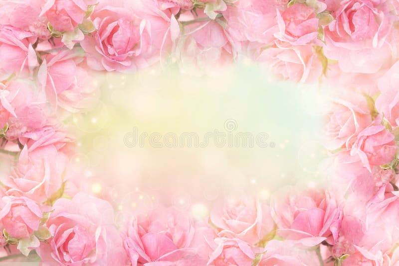 Rosarosen-Blumenrahmen auf weichem bokeh Weinlesehintergrund für Valentinsgruß lizenzfreie stockfotos