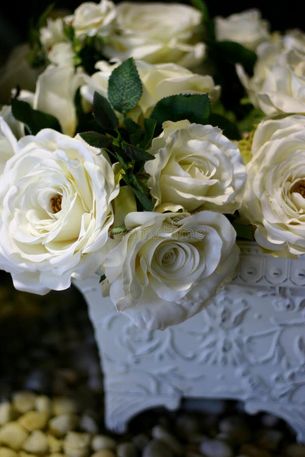 White roses in ornate planter. White roses in ornate planter