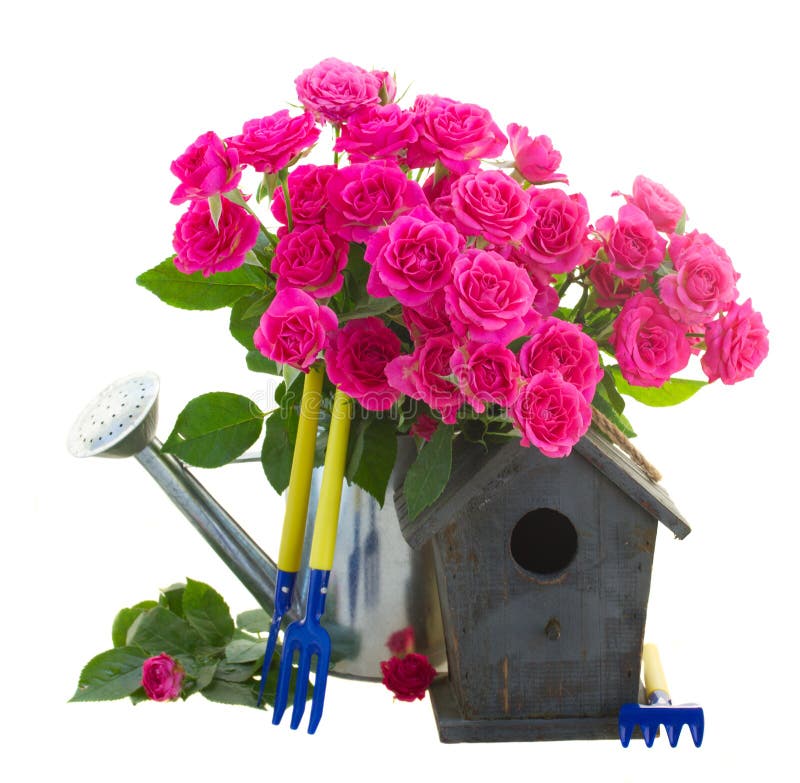 Rosas cor-de-rosa com gaiola de pássaro fotos de stock Rosas cor-de-rosa com gaiola de pássaro fotos de stock