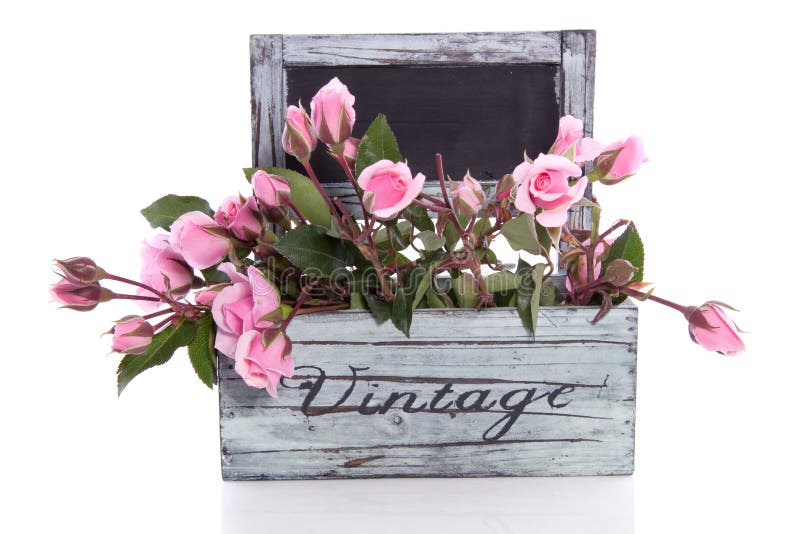 A bouquet of pink roses in a wooden planter isolated over white background. A bouquet of pink roses in a wooden planter isolated over white background