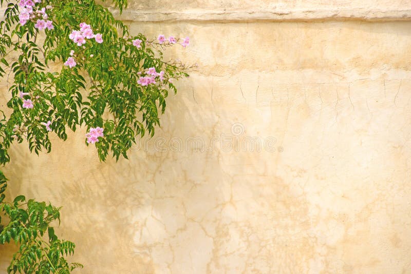 Pink roses framing a sand colored wall. Pink roses framing a sand colored wall