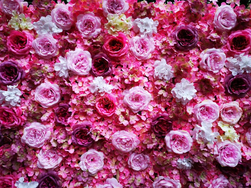 Pink roses - a wall decorated with pink roses and several other colors. Pink roses - a wall decorated with pink roses and several other colors.