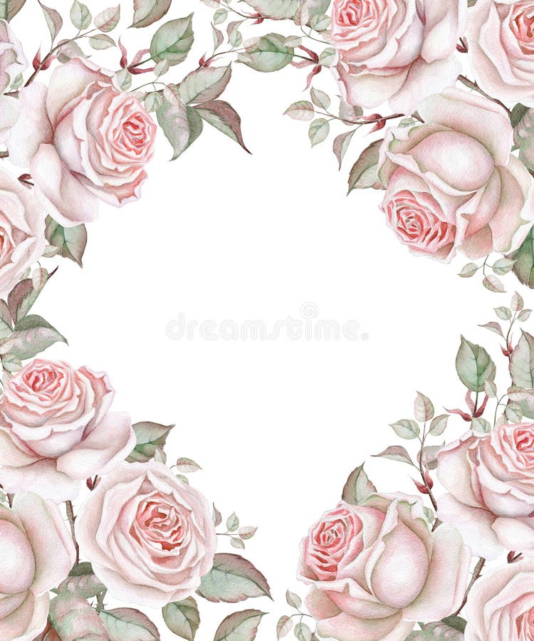 Rosas de la acuarela en el fondo blanco Marco floral ilustración del vector Rosas de la acuarela en el fondo blanco Marco floral ilustración del vector