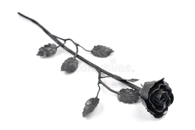 1,771 Rosas Negras Fotos de stock - Fotos libres de regalías de Dreamstime