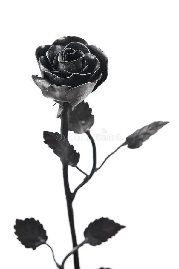 Rosas Negras Del Hierro Labrado Foto De Archivo Imagen De