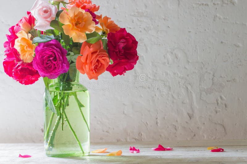 The roses in vase on background white wall. The roses in vase on background white wall