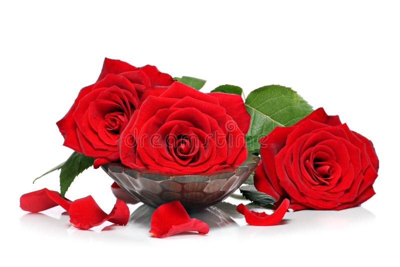 Pétalos De Rosas En Fondo De Madera Natural De La Tabla Ame La