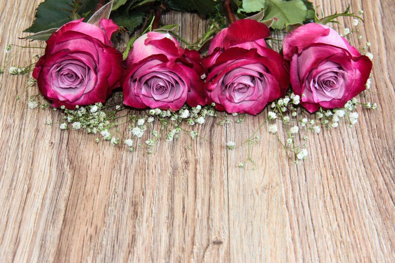 Pink roses on a wooden table. 4 bright flowers. Pink roses on a wooden table. 4 bright flowers.