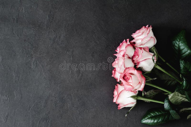 Rosas rosadas en el fondo de piedra, fondo floral diseñado foto de archivo Rosas rosadas en el fondo de piedra, fondo floral diseñado foto de archivo