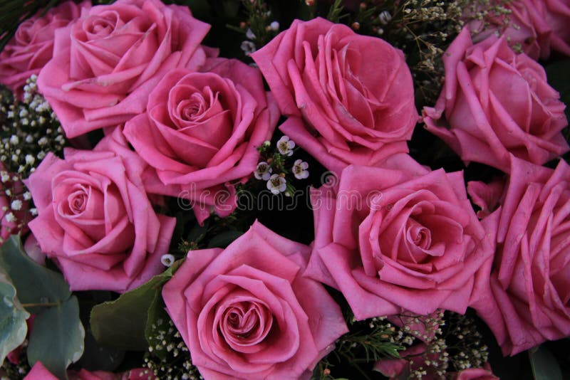 Rosas rosadas grandes en un ramo nupcial foto de archivo Rosas rosadas grandes en un ramo nupcial foto de archivo