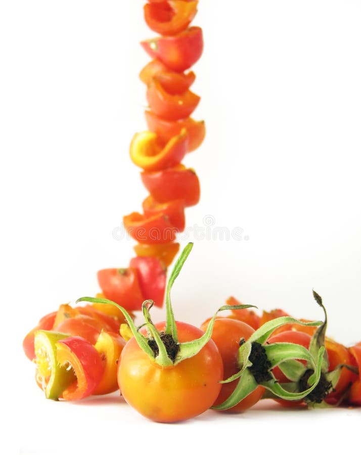 Rosas salvajes de las frutas secas fotos de archivo libres de regalías Rosas salvajes de las frutas secas fotos de archivo libres de regalías