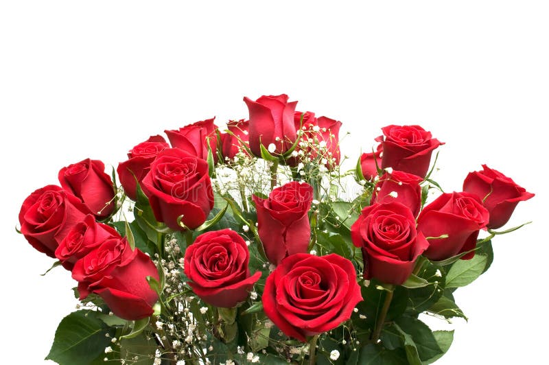 Rosas vermelhas. foto de stock royalty free Rosas vermelhas. foto de stock royalty free