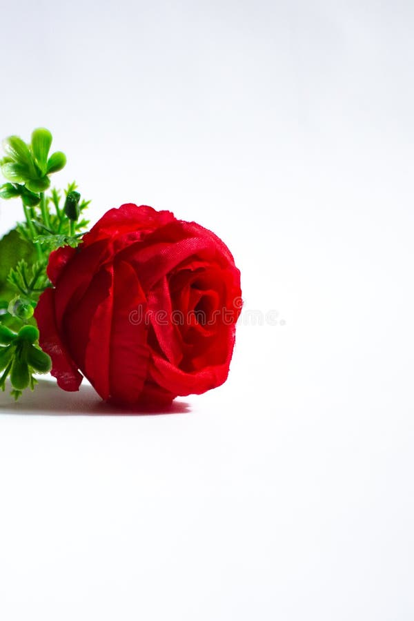 Duas Rosas Vermelhas Falsas De Plástico E Pano Foto de Stock - Imagem de  arquitetura, folha: 224668802