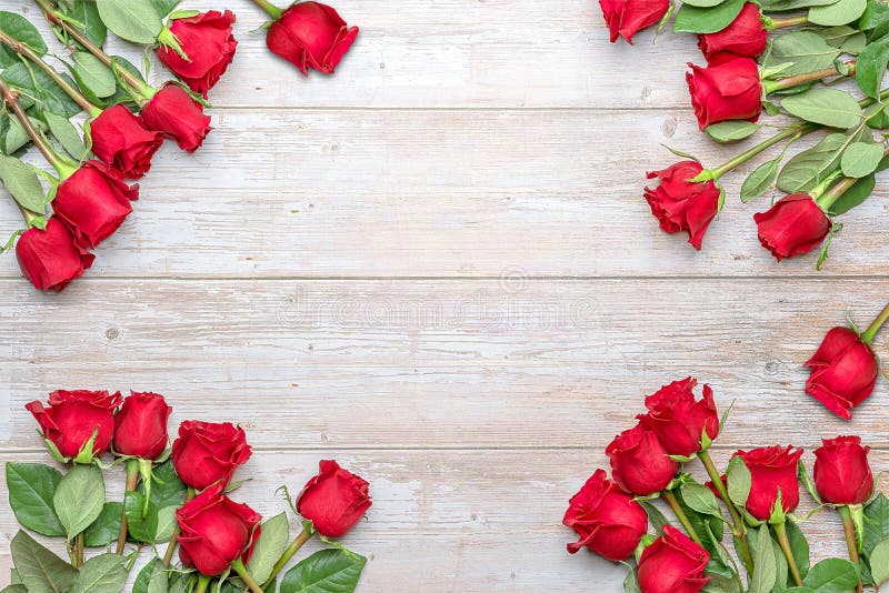 Red roses at the bottom of a wooden wall. Layout for postcards  invitations for Valentine's Day 14 February  Engagement  wedding anniversary  Birthday. Red roses at the bottom of a wooden wall. Layout for postcards  invitations for Valentine's Day 14 February  Engagement  wedding anniversary  Birthday.