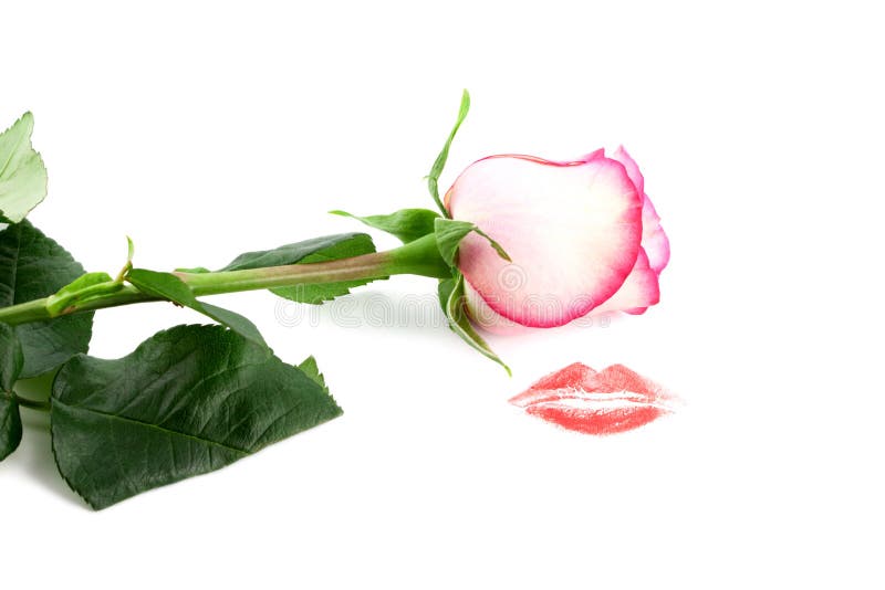 Kiss Rose Stock Photos Download 4,918 Royalty Free Photos