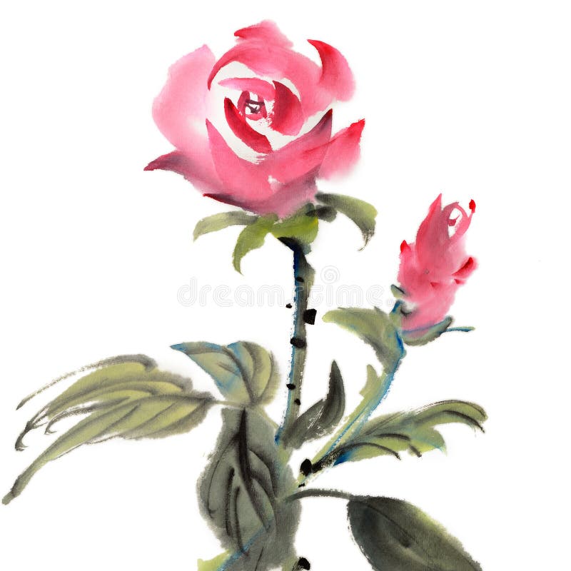 Watercolor rose flower stock illustration. Illustration of colorful ...