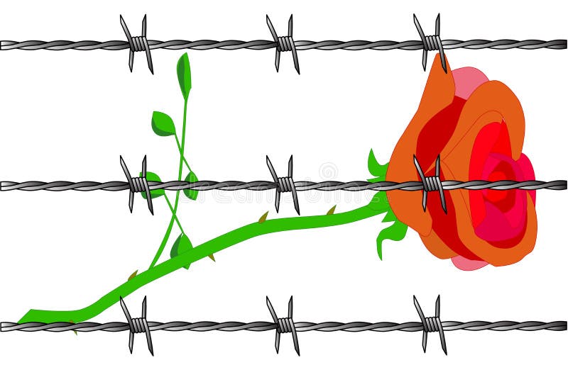 Rose illustration stock Rose illustration stock