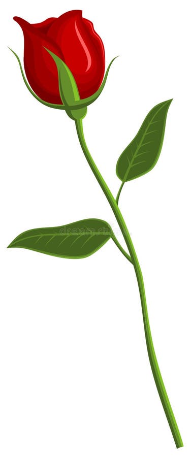 Download Rose stock vector. Illustration of graphic, flower, valentine - 7686950