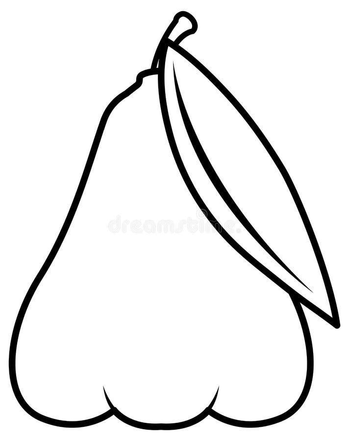 Rose Apple Doodle Outline for Colouring Stock Vector Illustration of