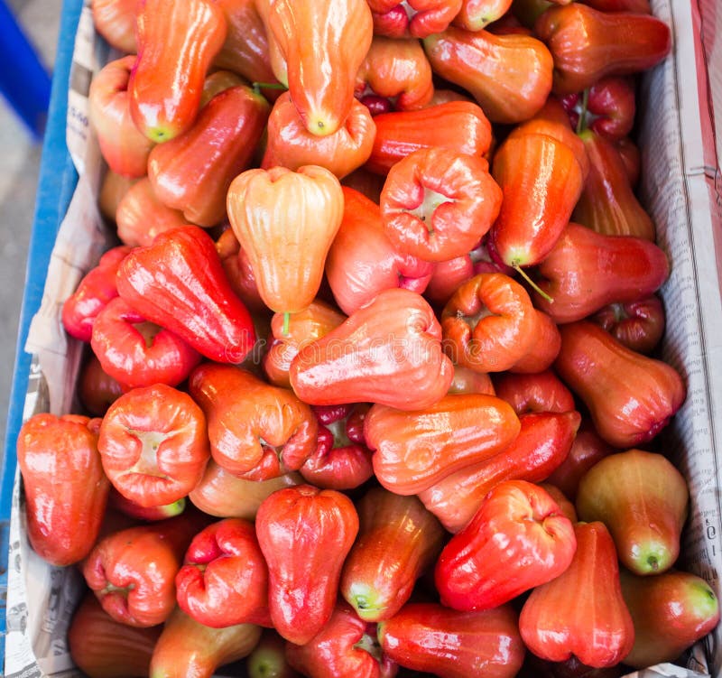 Rose apple stock image. Image of fruits, nature, vitamins 85978561